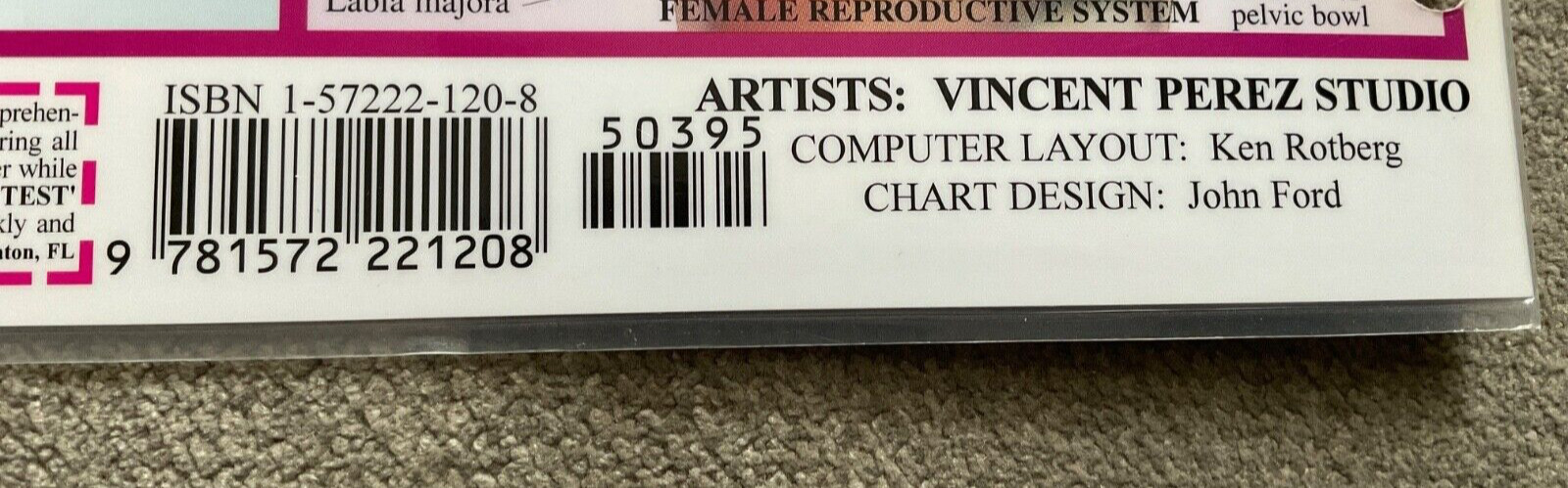 QuickStudy Charts: Anatomy Study Guides All-In-One Reference Vincent Perez 1994