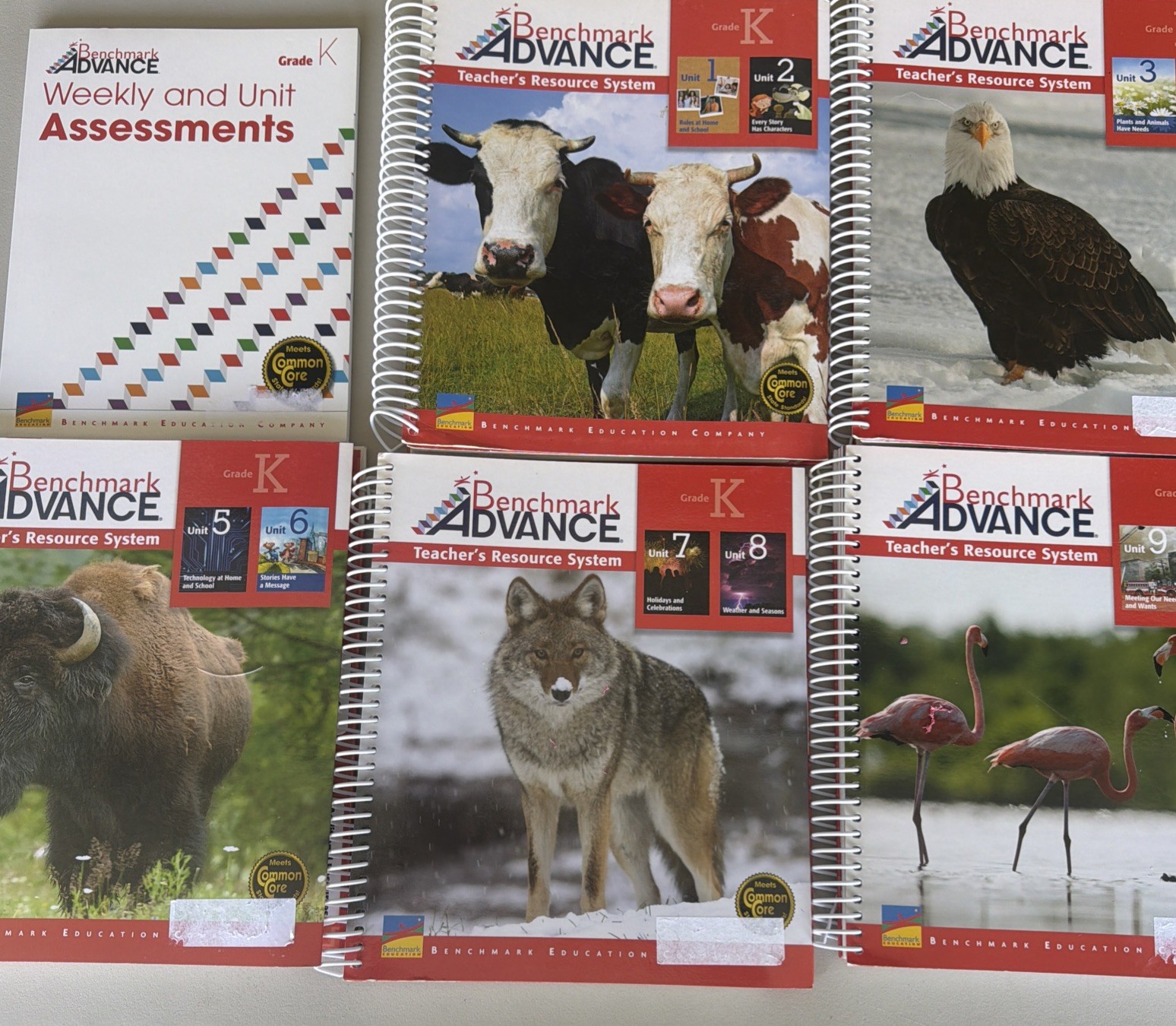Benchmark Advance: Grade K, Teacher&rsquo;s Resource System Units 1-10 California Ed