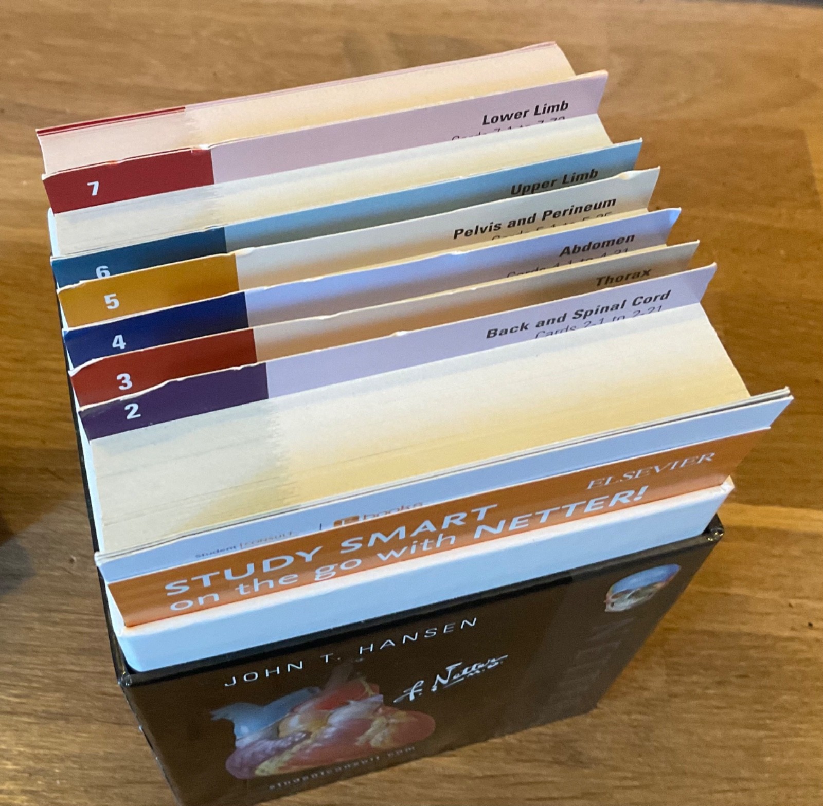 Netter Basic Science Ser.: Netter&rsquo;s Anatomy Flash Cards by John T. Hansen 2018 .