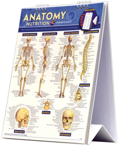 Anatomy & Nutrition (Quickstudy Easel) – Spiral-bound By BarCharts, Inc. – GOOD