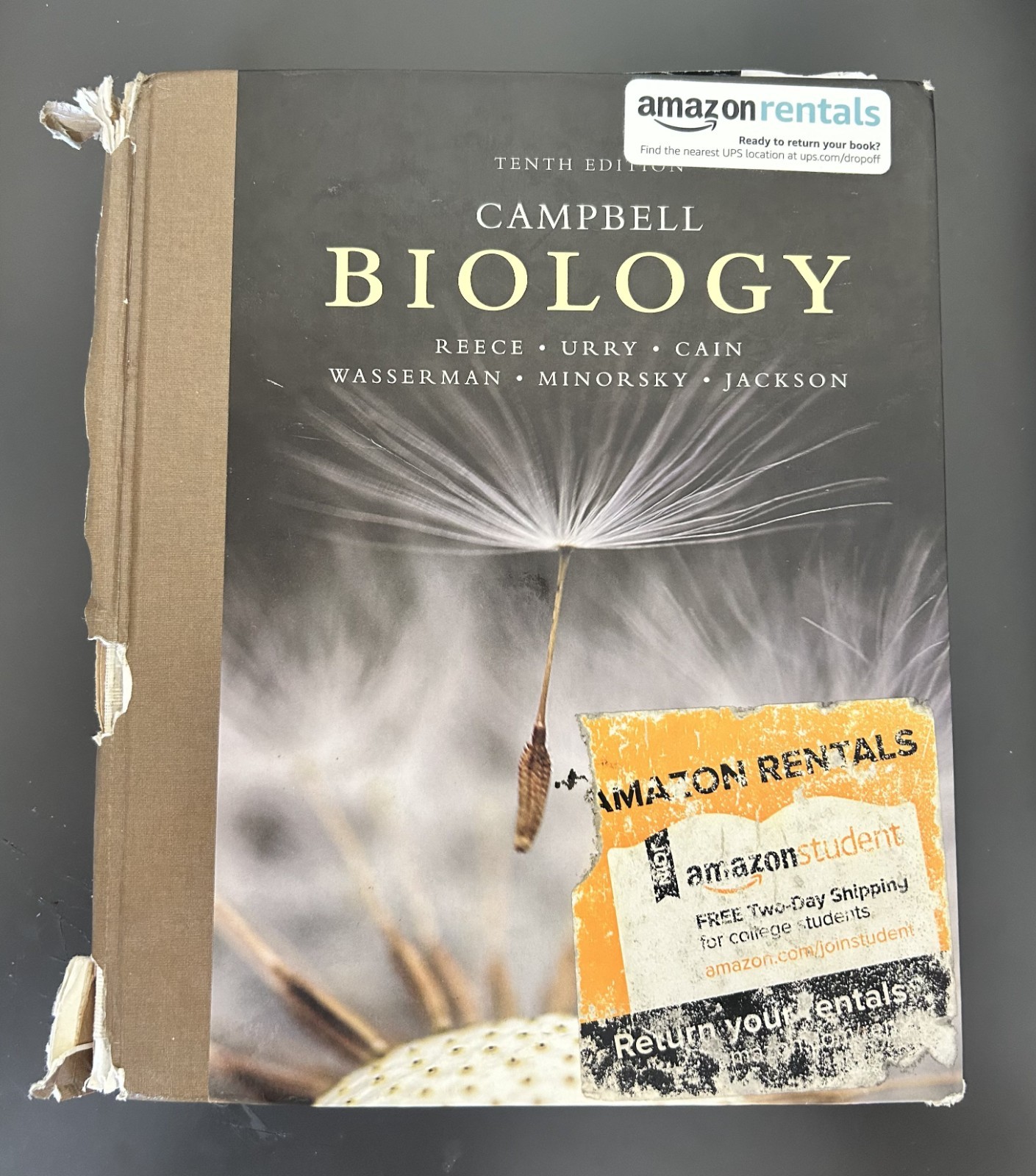 Campbell Biology by Peter V. Minorsky, Robert B. Jackson, Michael L. Cain, Lisa