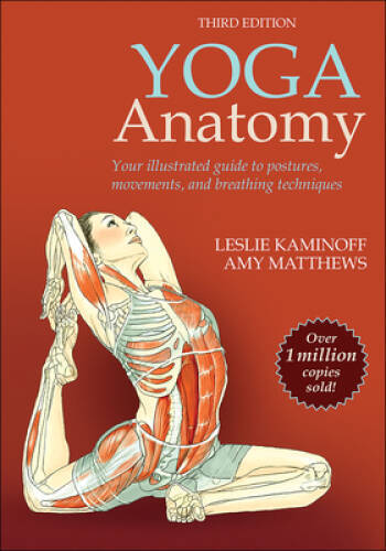 Yoga Anatomy – Paperback By Kaminoff, Leslie – VERY GOOD