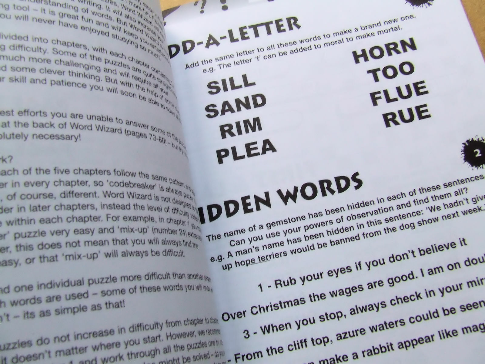 Word Wizard: Games, Puzzles – Hints and Tips 80 pages ISBN 9781841930053 Year 20