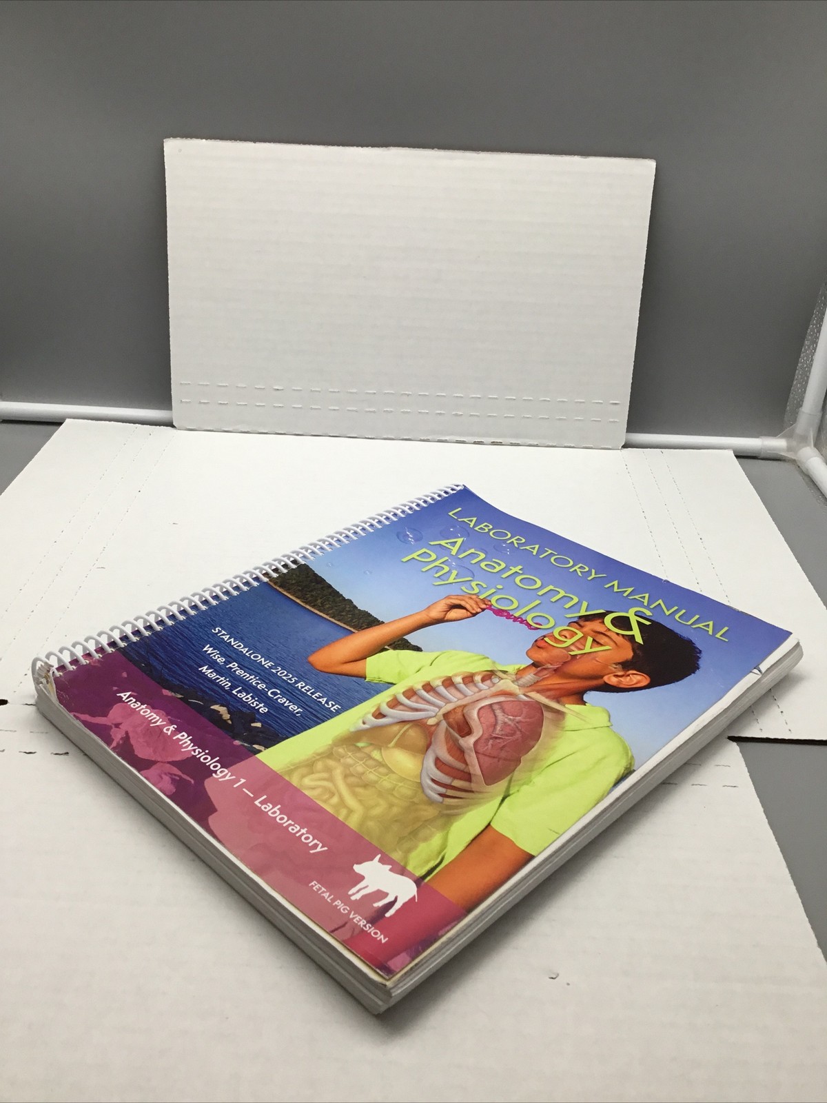 Laboratory Manual – Anatomy & Physiology 1 – Spiral Bound/Paperback – Acceptable