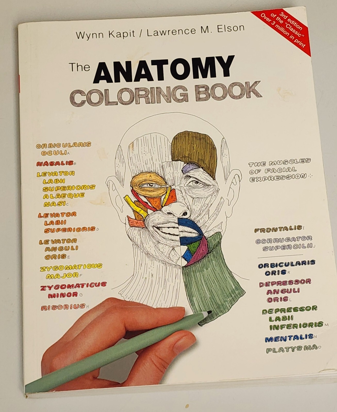 The Anatomy Coloring Book Paperback Illustrated See Description