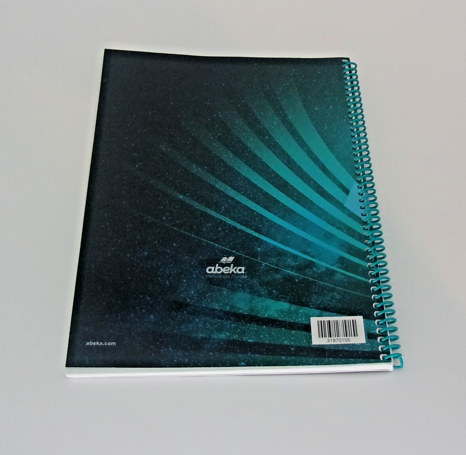 Science Earth and Space Activity and STEM Project Book-Second Edition-TeacherKey