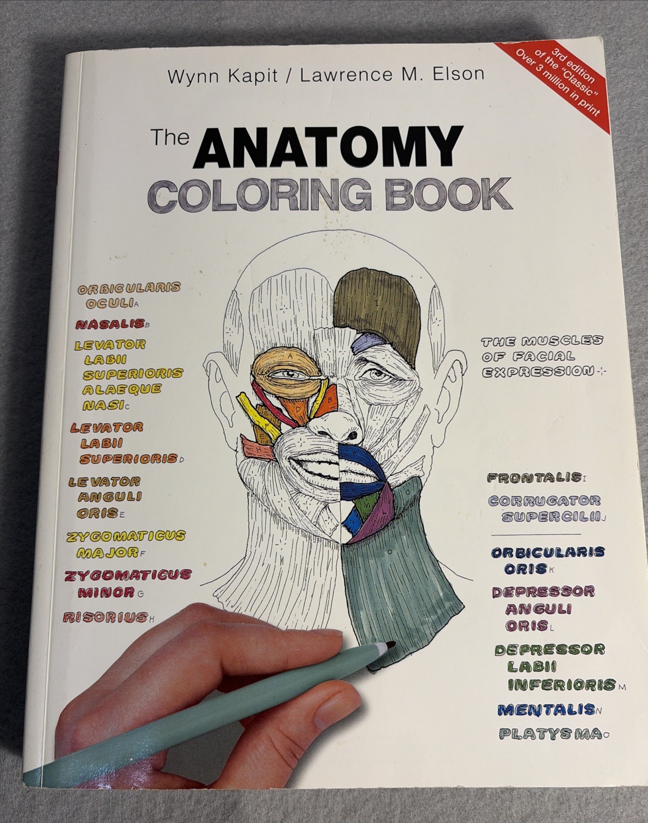 The Anatomy Coloring Book by Wynn Kapit & Lawrence Elson Softcover Never Used