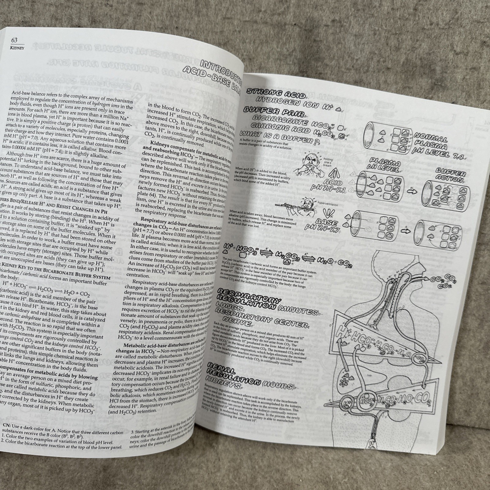 The Physiology Coloring Book (2nd Edition) – Paperback
