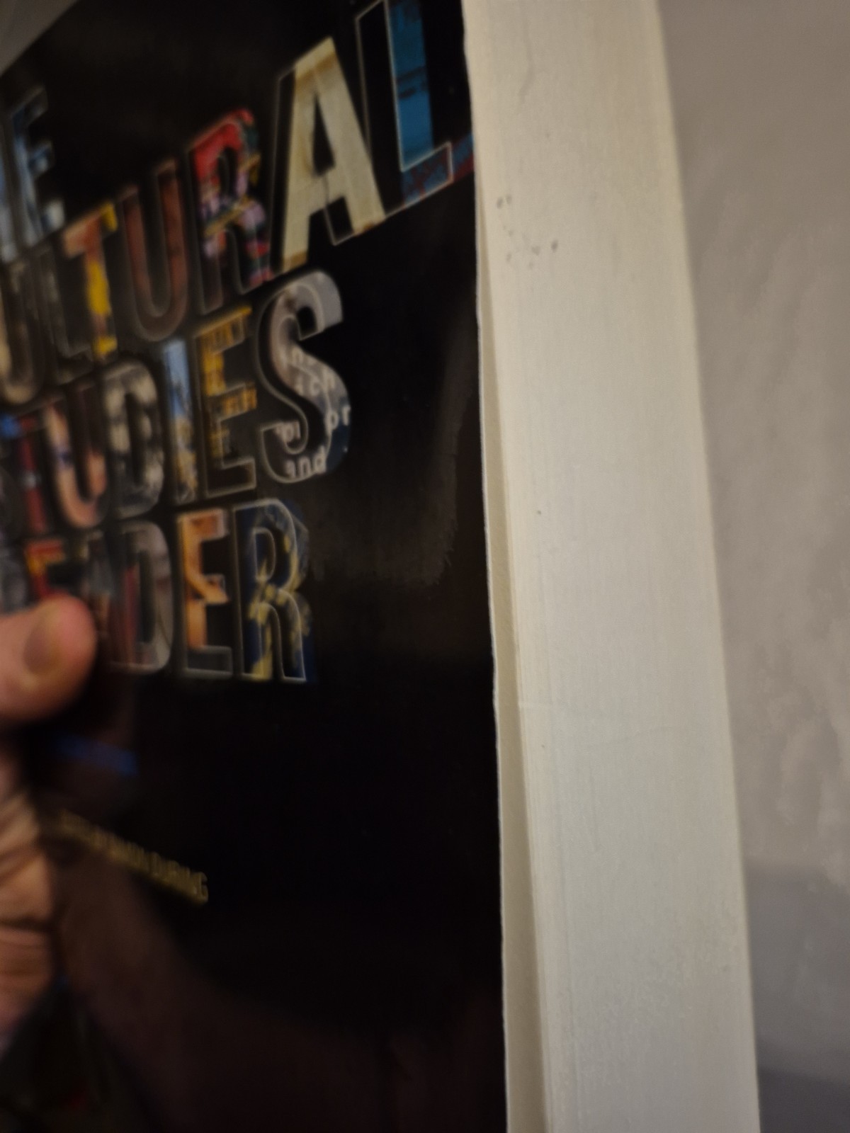 Cultural Studies Reader Simon During Routledge TPB Theory Criticism Philosophy