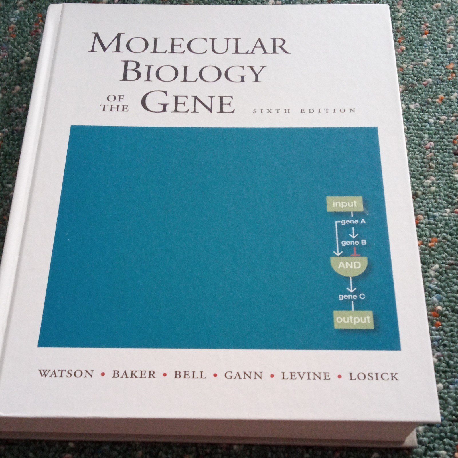 Molecular Biology of the Gene 6th Edition Hardcover Watson Baker Bell 2007