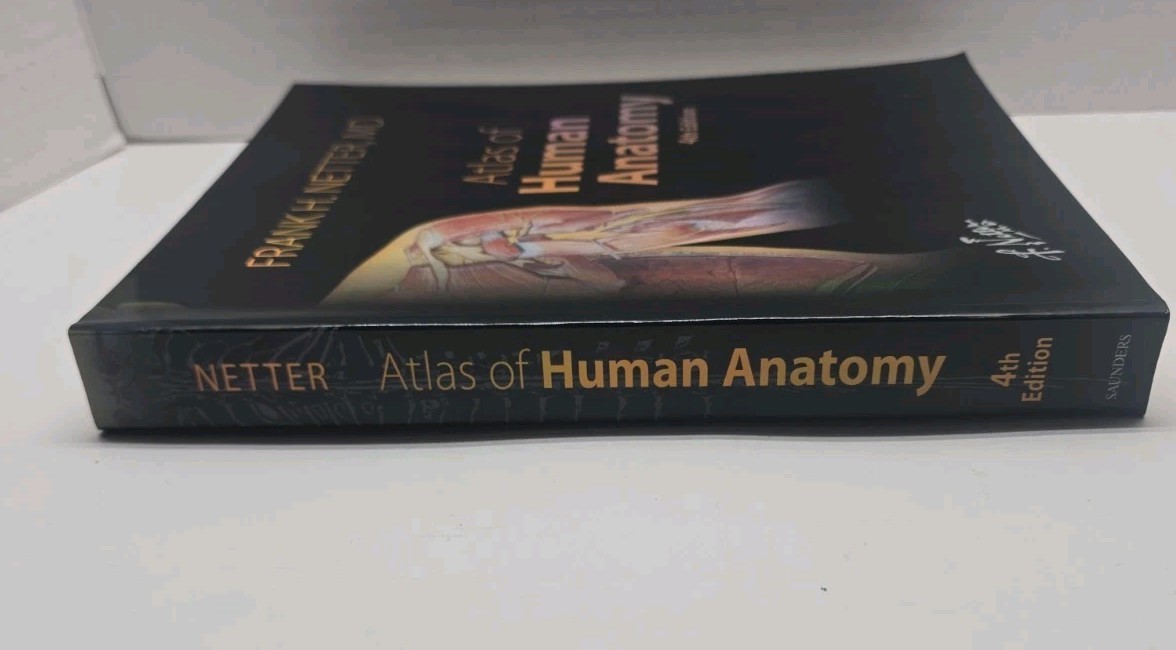 Netter Basic Science Ser.: Human Anatomy by Frank H. Netter (2006, Perfect)