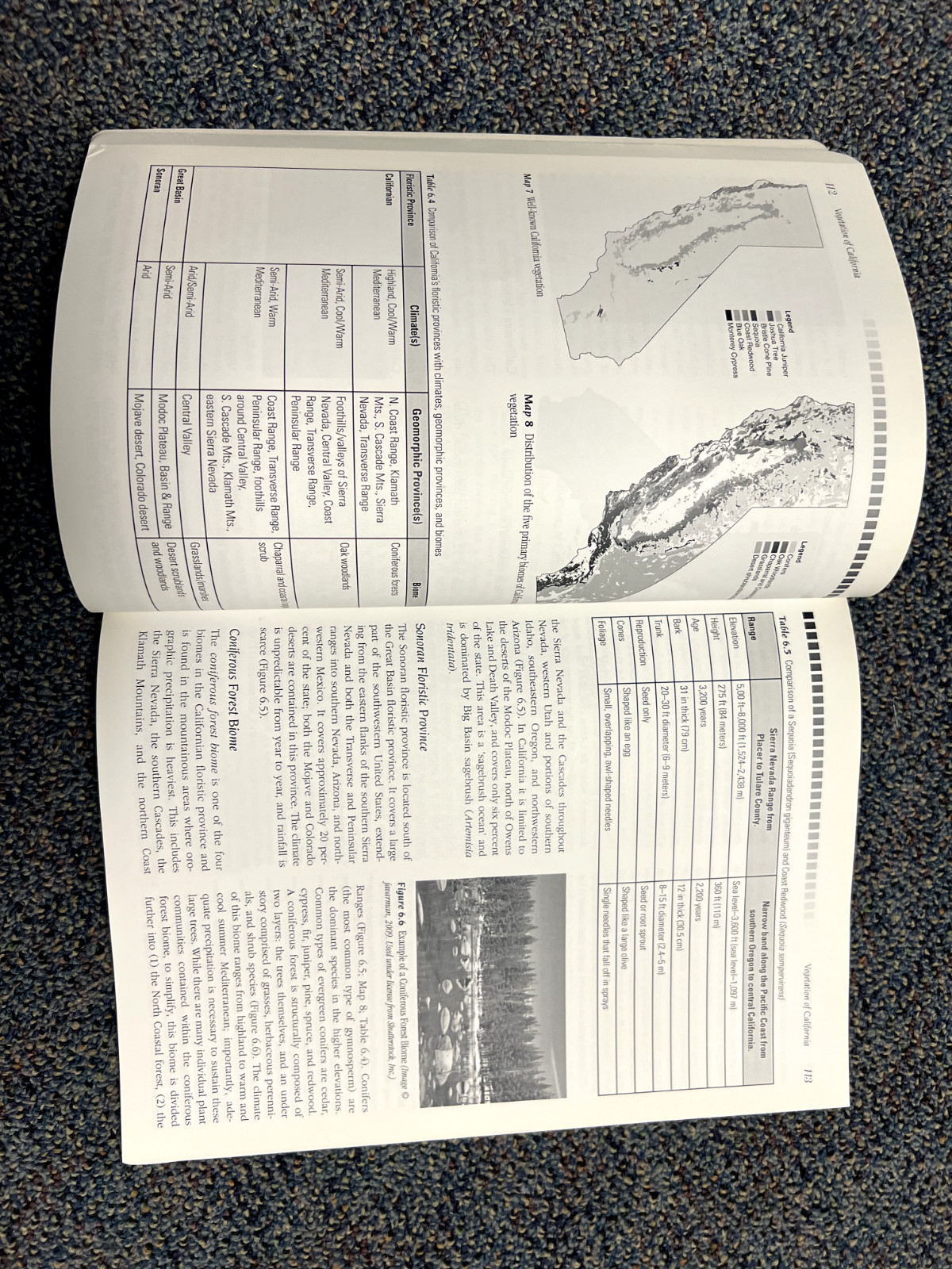 California Eclectic : A Topical Geography by Lin Wu, Richard S. Hyslop, Sara…