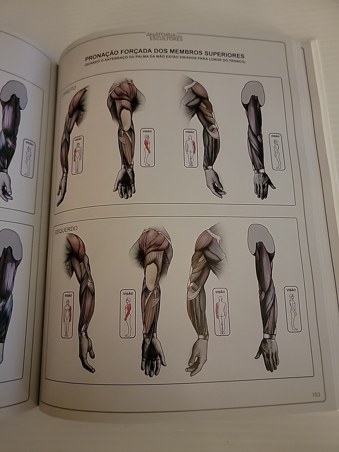 Anatomy for Sculptors Book – Spanish Version – *LN* – 2014 – Fine Art Resource