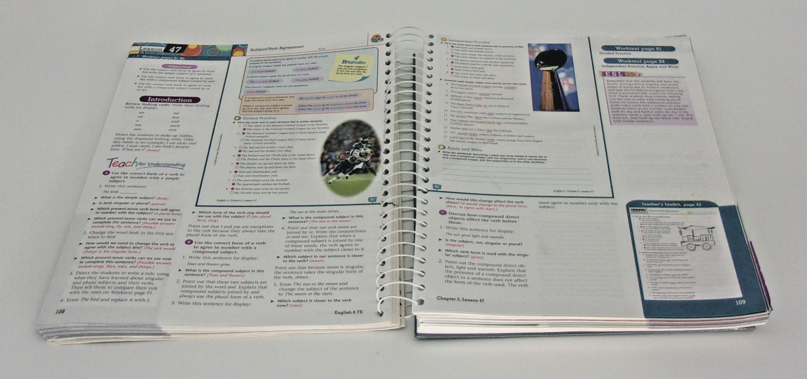 Teacher&rsquo;s Edition English 6 Writing and Grammar-Second Edition-200535, No CD