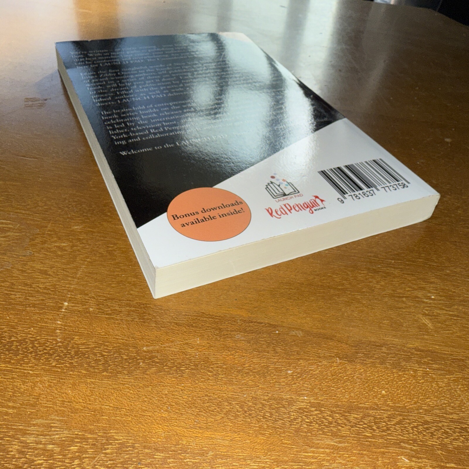 Launch Pad: The Countdown to Publishing Your Book by Stephanie Larkin Paperback