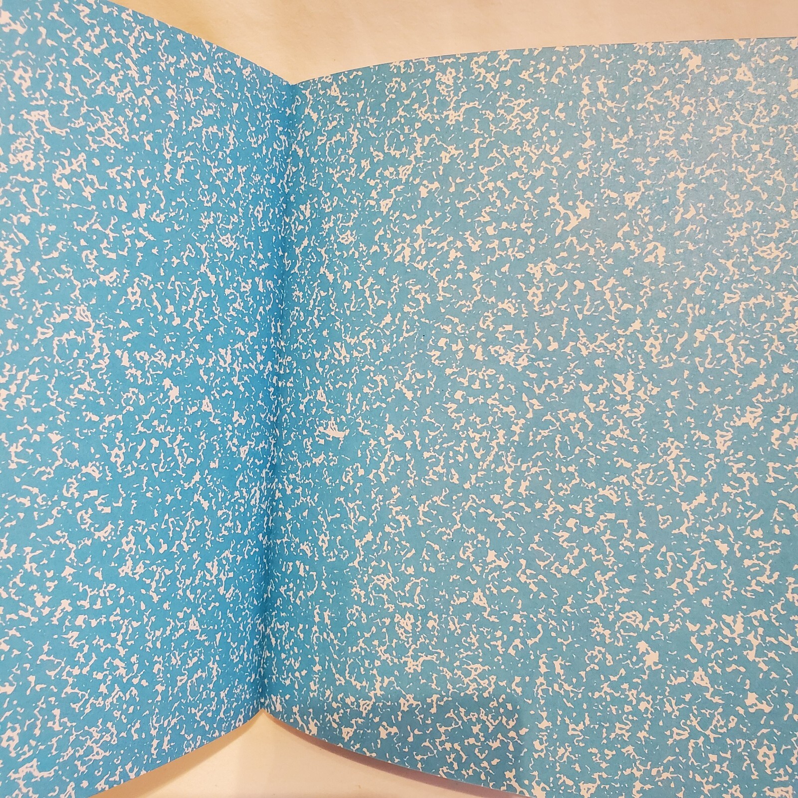 642 Tiny Things to Write About Paperback by San Francisco Writers Grotto