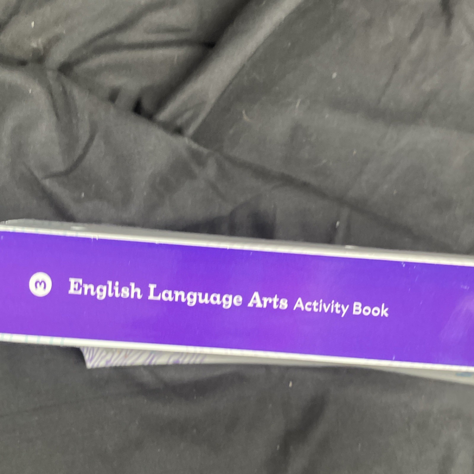 K12 English Language Arts 3 Intermediate Elementary Activity Book MPN 21315