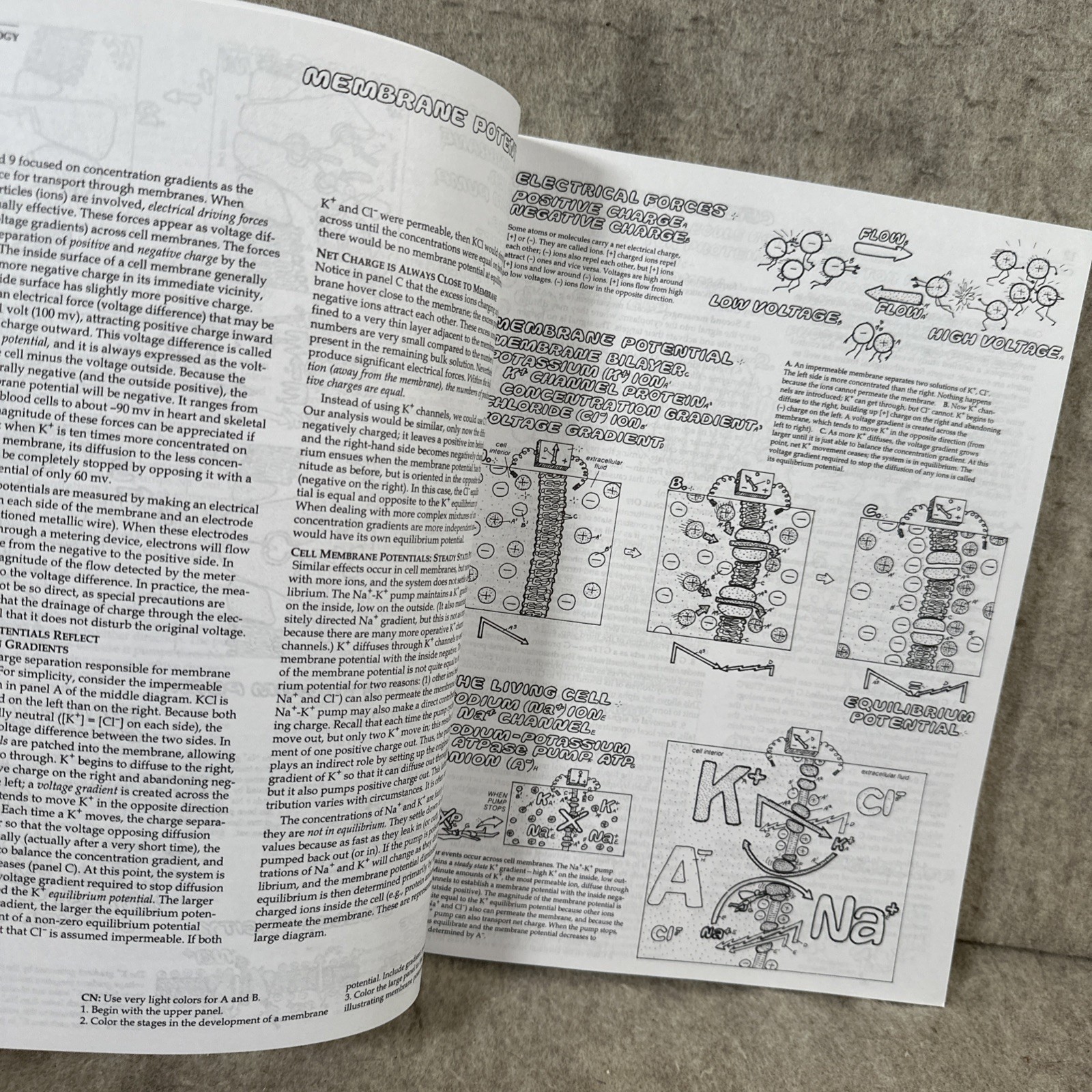 The Physiology Coloring Book (2nd Edition) – Paperback