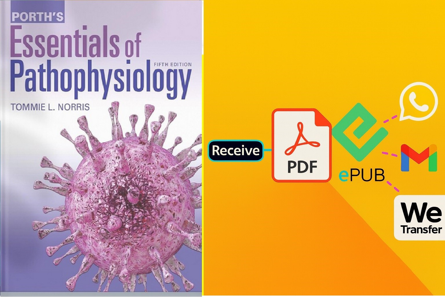 Porth&rsquo;s Essentials of Pathophysiology , by Norris Tommie L. – Good pdf/usb