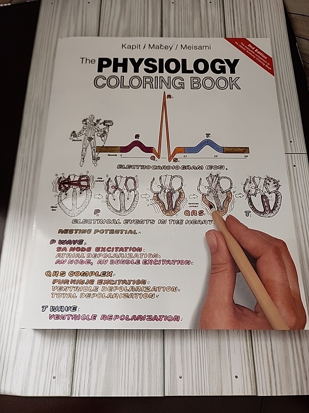Physiology Coloring Book by Wynn Kapit, Esmail Meisami and Robert Macey…