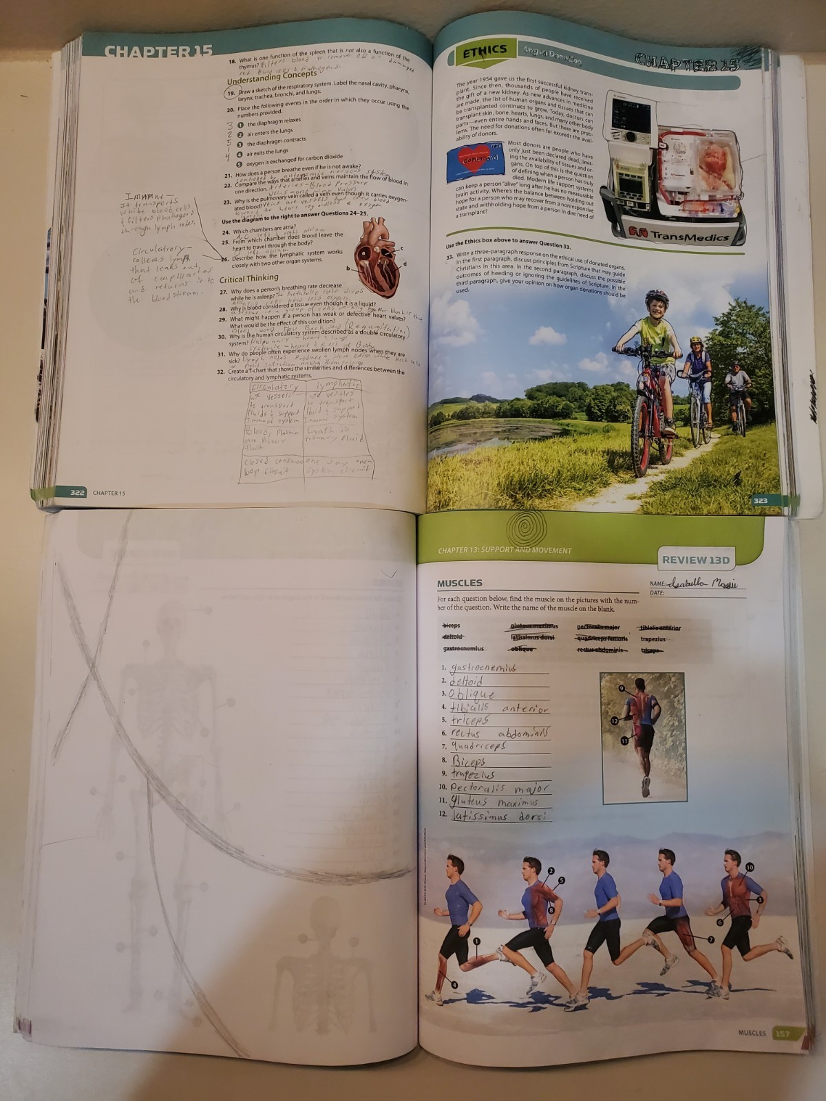 BJU Life Science 5th ed. Student Text & Assessments Key Activities & Answer Key