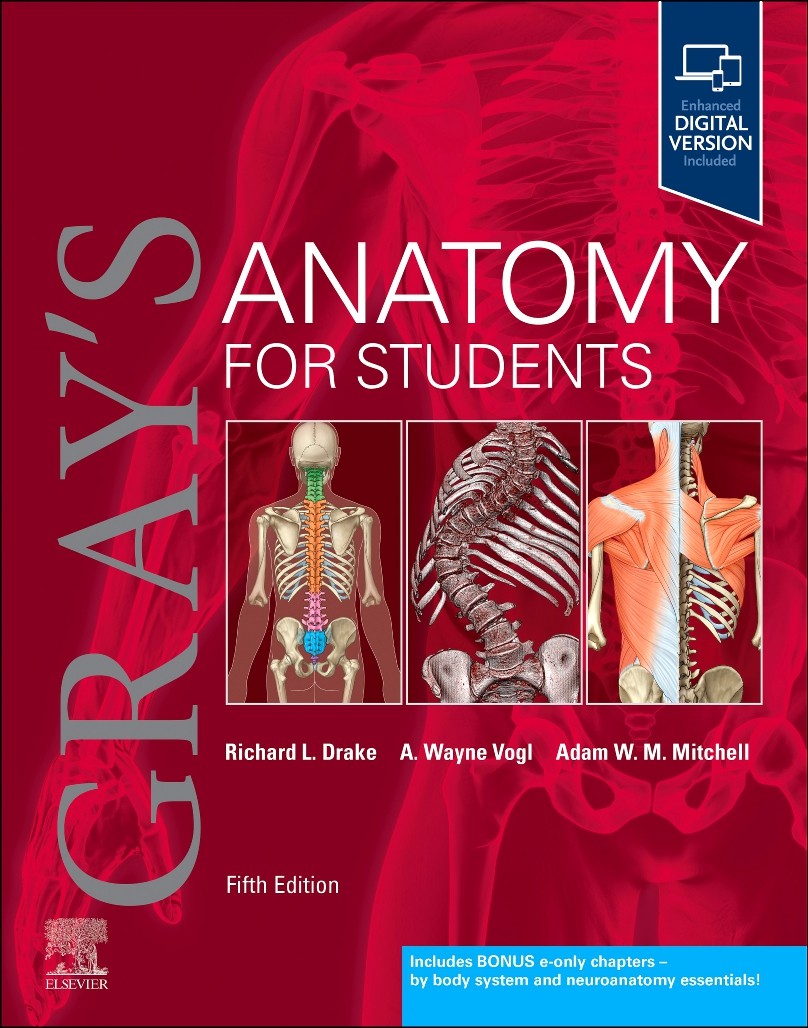 Gray&rsquo;s Anatomy for Students