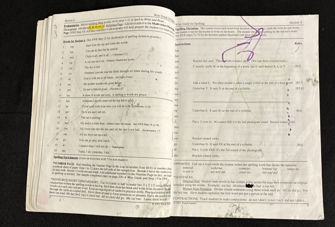 Spell to Write & Read AND Wise Guide AND Spelling Rule Cards Set by Sanseri