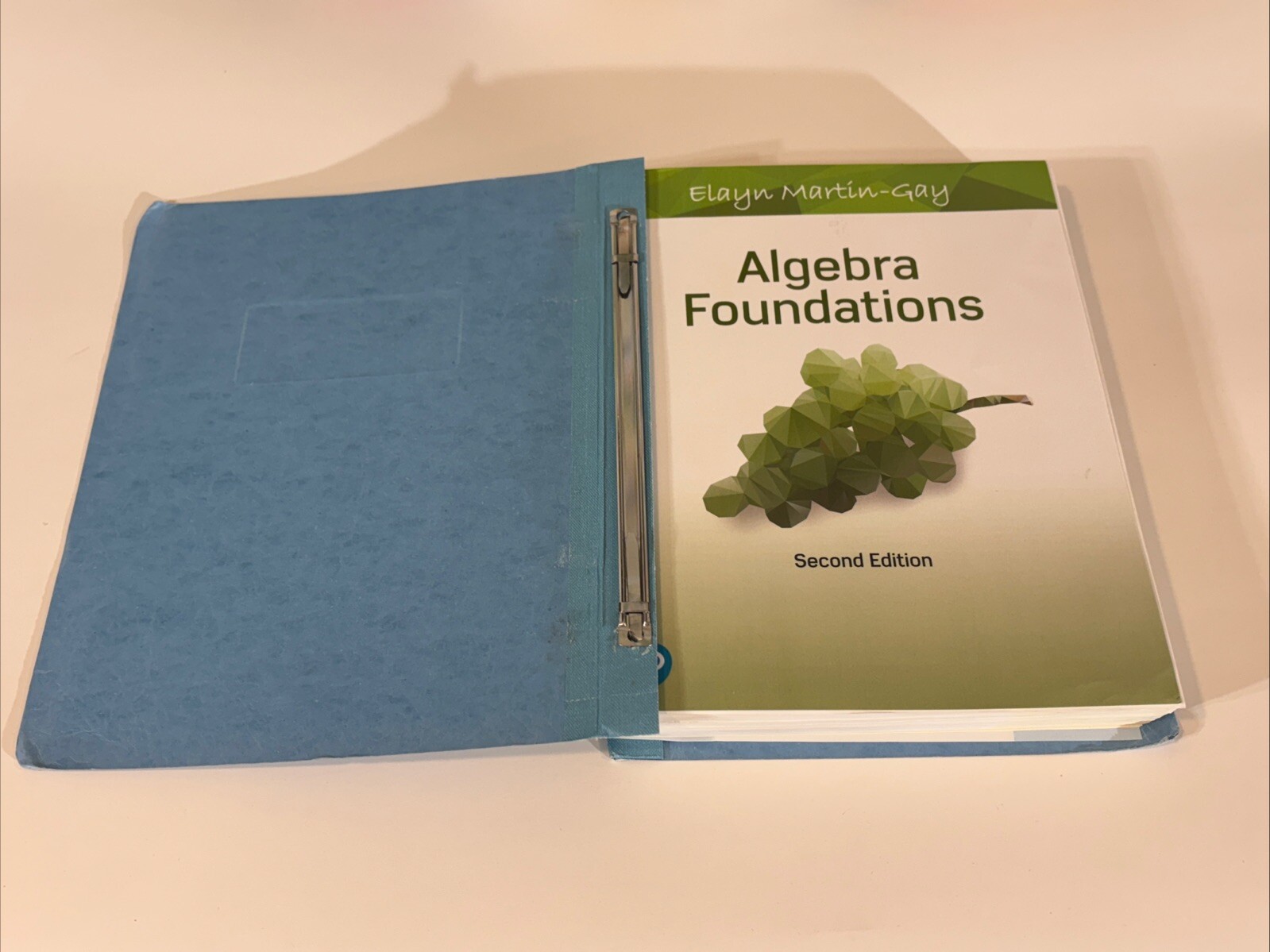 Algebra Foundations 2nd Edition Elayn Martin-Gay Book (CHAPTERS 1-12 ONLY)
