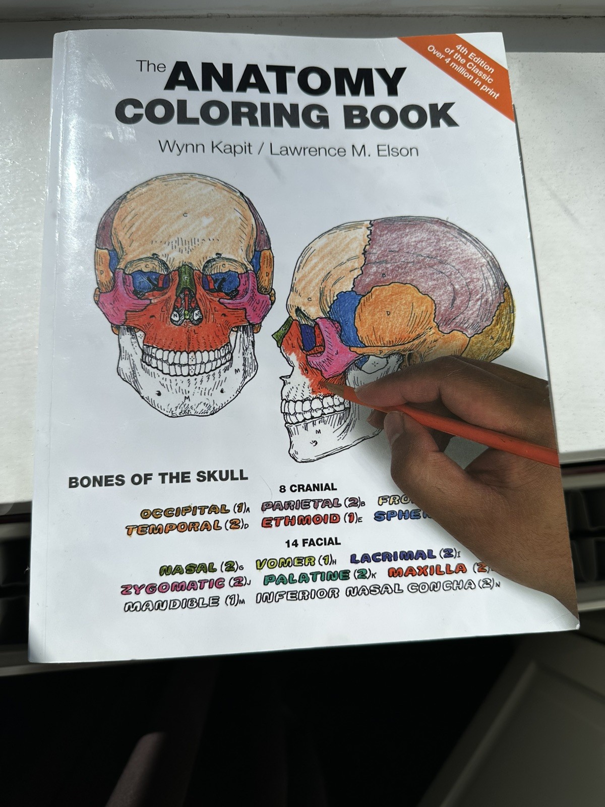 Anatomy Coloring Book, The – 0321832019, Wynn Kapit, paperback
