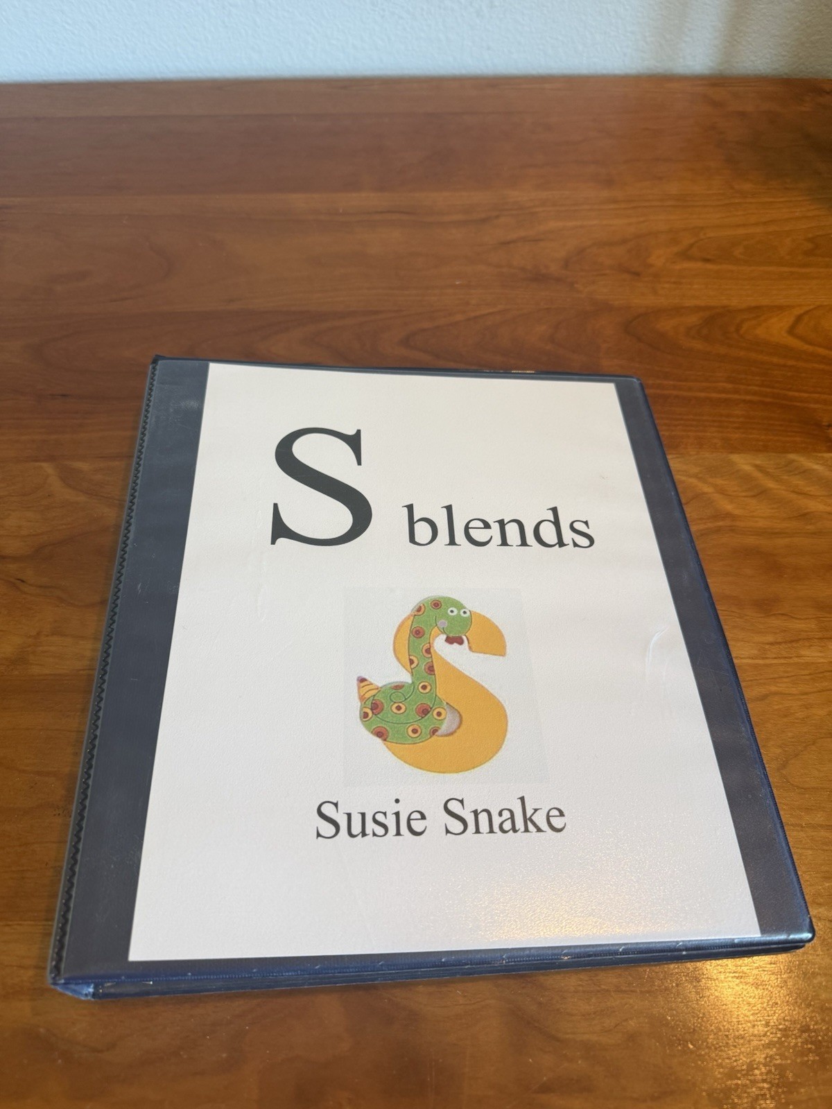 Speech therapy materials for S blends, color printed on cardstock, 3 ring binder