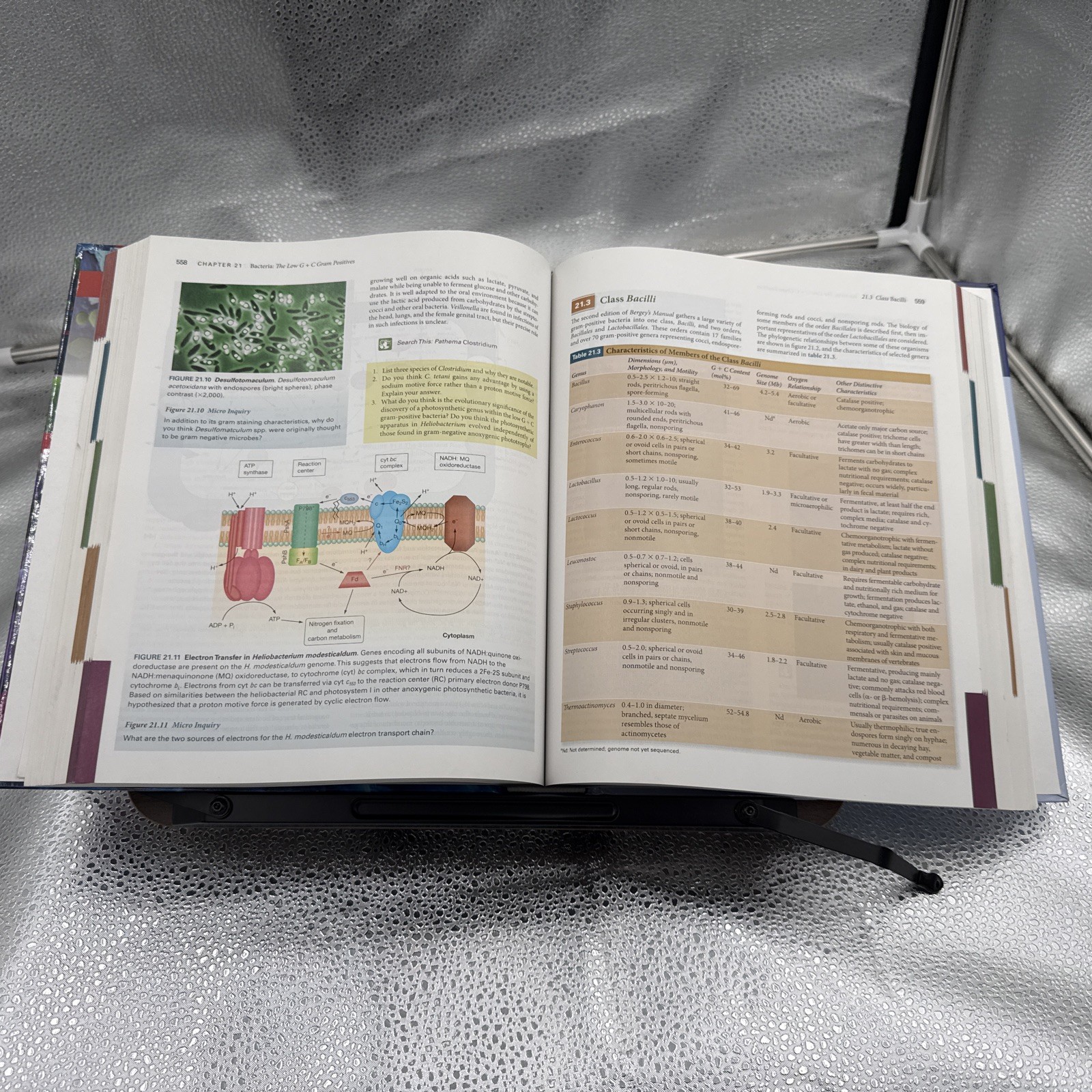 Prescott&rsquo;s Microbiology by Linda Sherwood, Chris Woolverton and Joanne Willey…