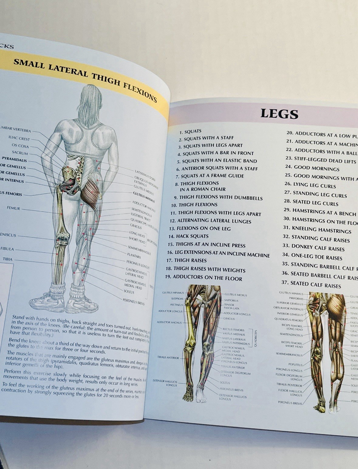 Women&rsquo;s Strength Training Anatomy – paperback Delavier, Frederic