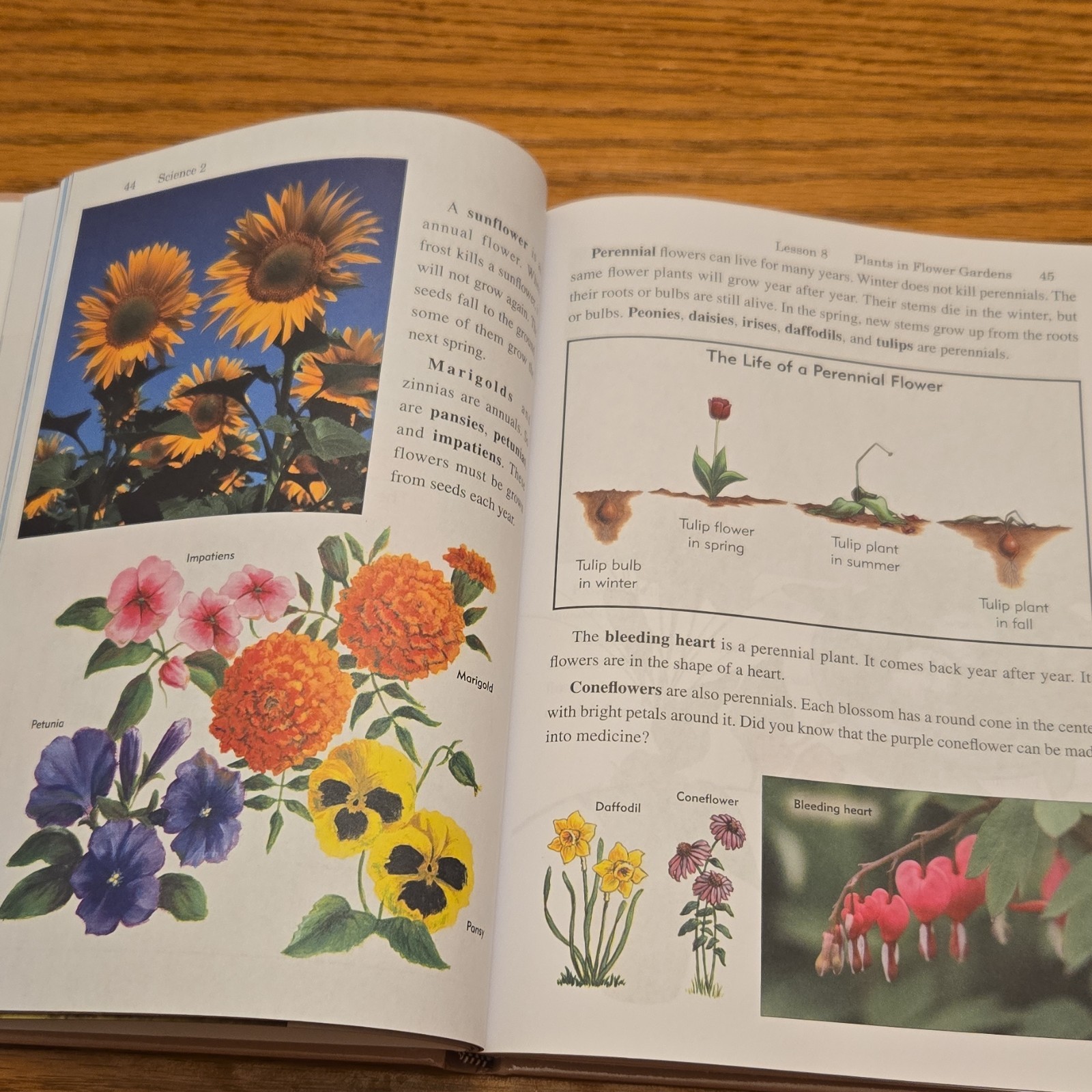 Rod and Staff Publishers God&rsquo;s Created World Science 2 HC 2021 Illustrated