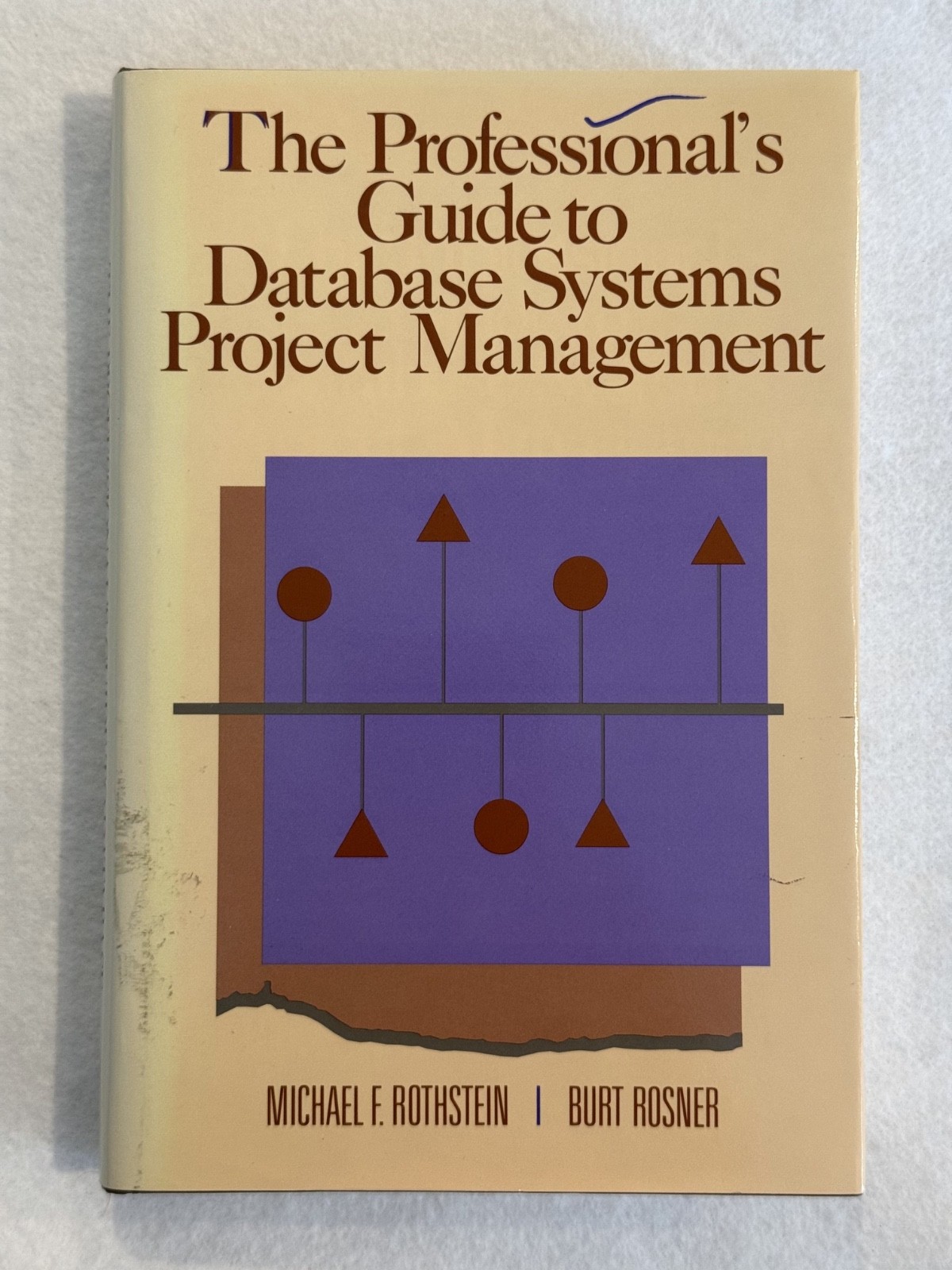 The Professional&rsquo;s Guide to Database Systems Project Management