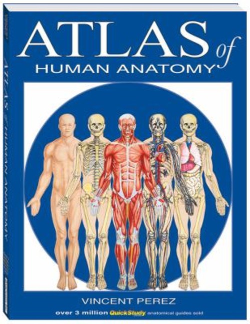 Atlas of Human Anatomy Paperback Vincent Perez