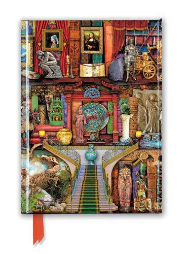 Aimee Stewart: Museum Bookshelves (Foiled Journal) (Flame Tree Notebooks) by Fl