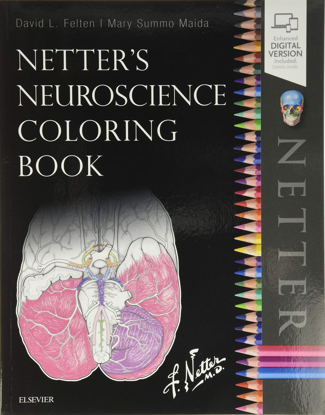 Netter&rsquo;s Neuroscience Coloring Book (Netter Basic Science)
