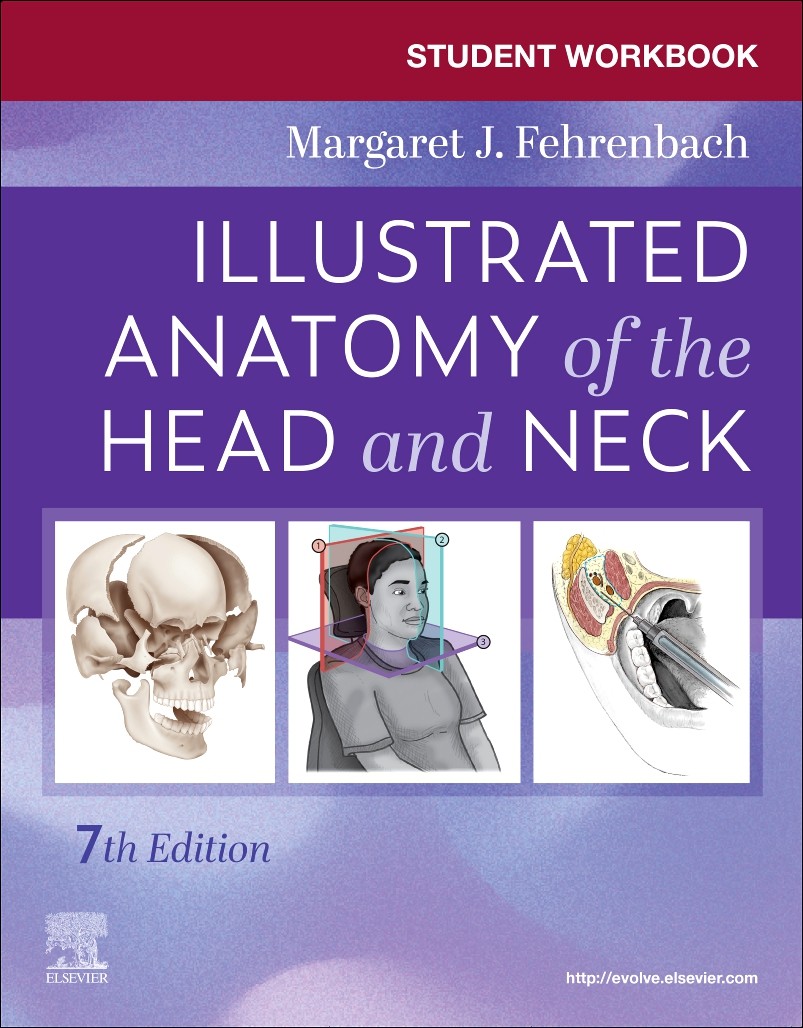 Student Workbook for Illustrated Anatomy of the Head and Neck