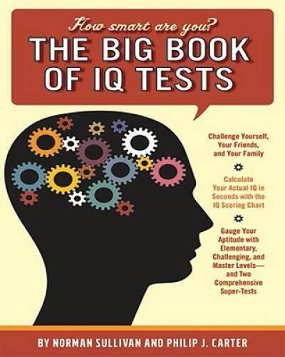 Big Book of IQ Tests – Spiral-bound By Norman Sullivan – ACCEPTABLE