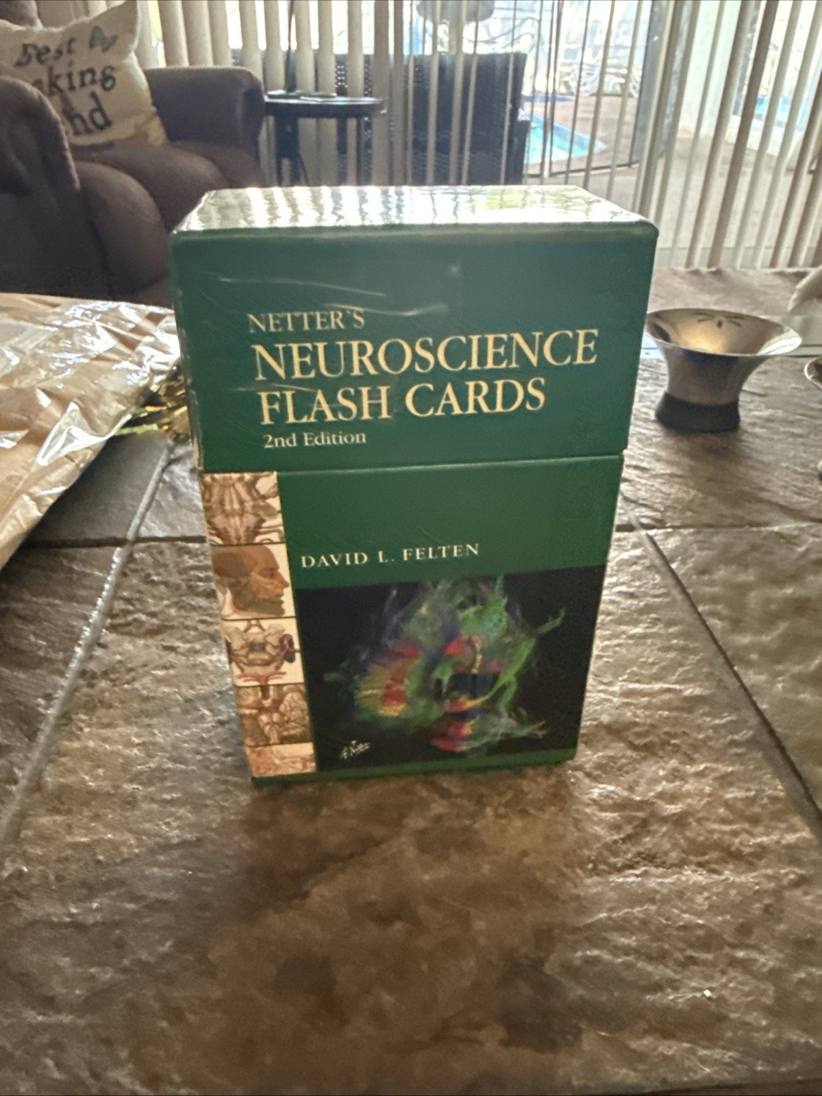 Netter Basic Science Ser.: Netter&rsquo;s Neuroscience Flash Cards by David L. Felten
