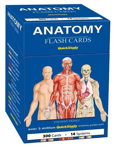 Vincent Perez Anatomy Flash Cards (300 Cards) (Cards)