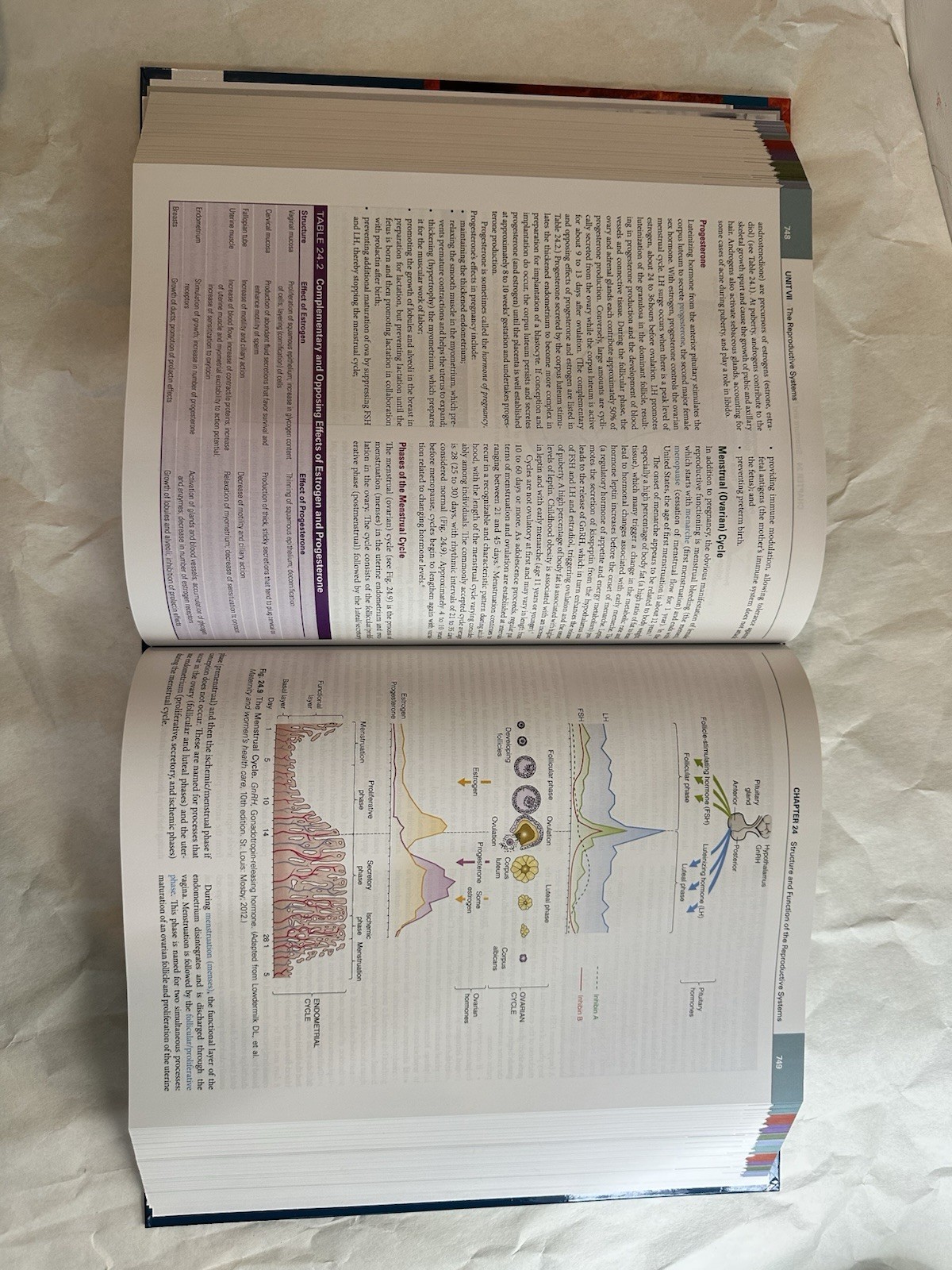 McCance & Huether&rsquo;s Pathophysiology 9th Edition