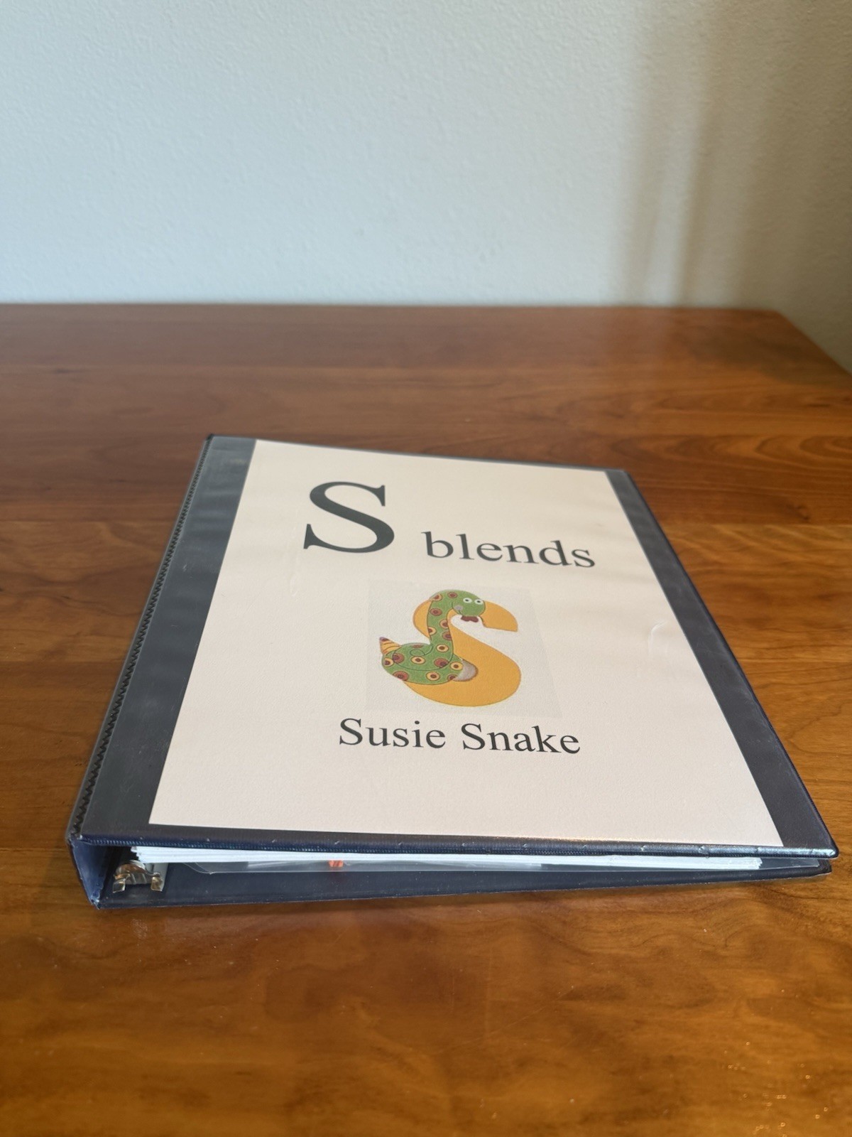 Speech therapy materials for S blends, color printed on cardstock, 3 ring binder