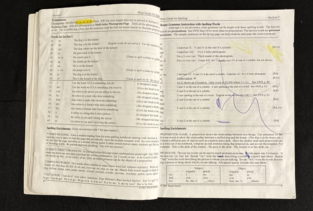 Spell to Write & Read AND Wise Guide AND Spelling Rule Cards Set by Sanseri