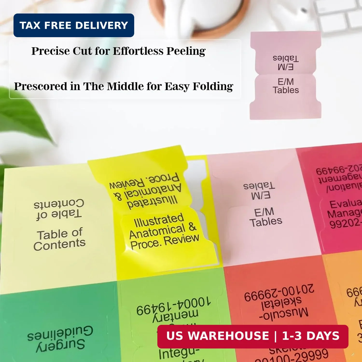 Upgraded Index Tabs for CPT 2025 Professional Edition, Complete CPT Book Tabs, L