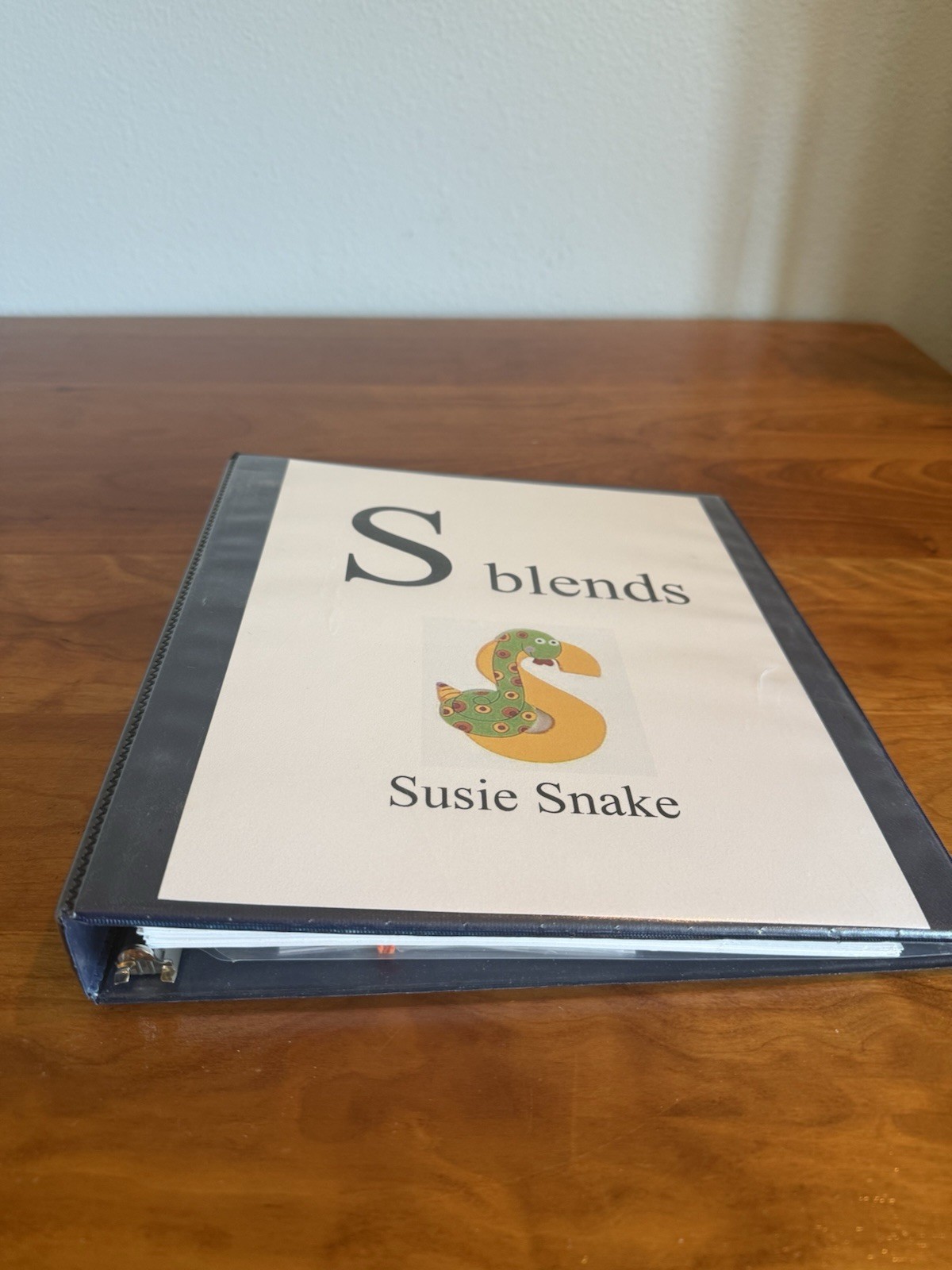 Speech therapy materials for S blends, color printed on cardstock, 3 ring binder