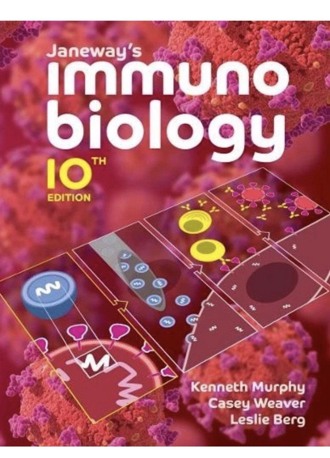 Janeway&rsquo;s Immunobiology – 9780393884890