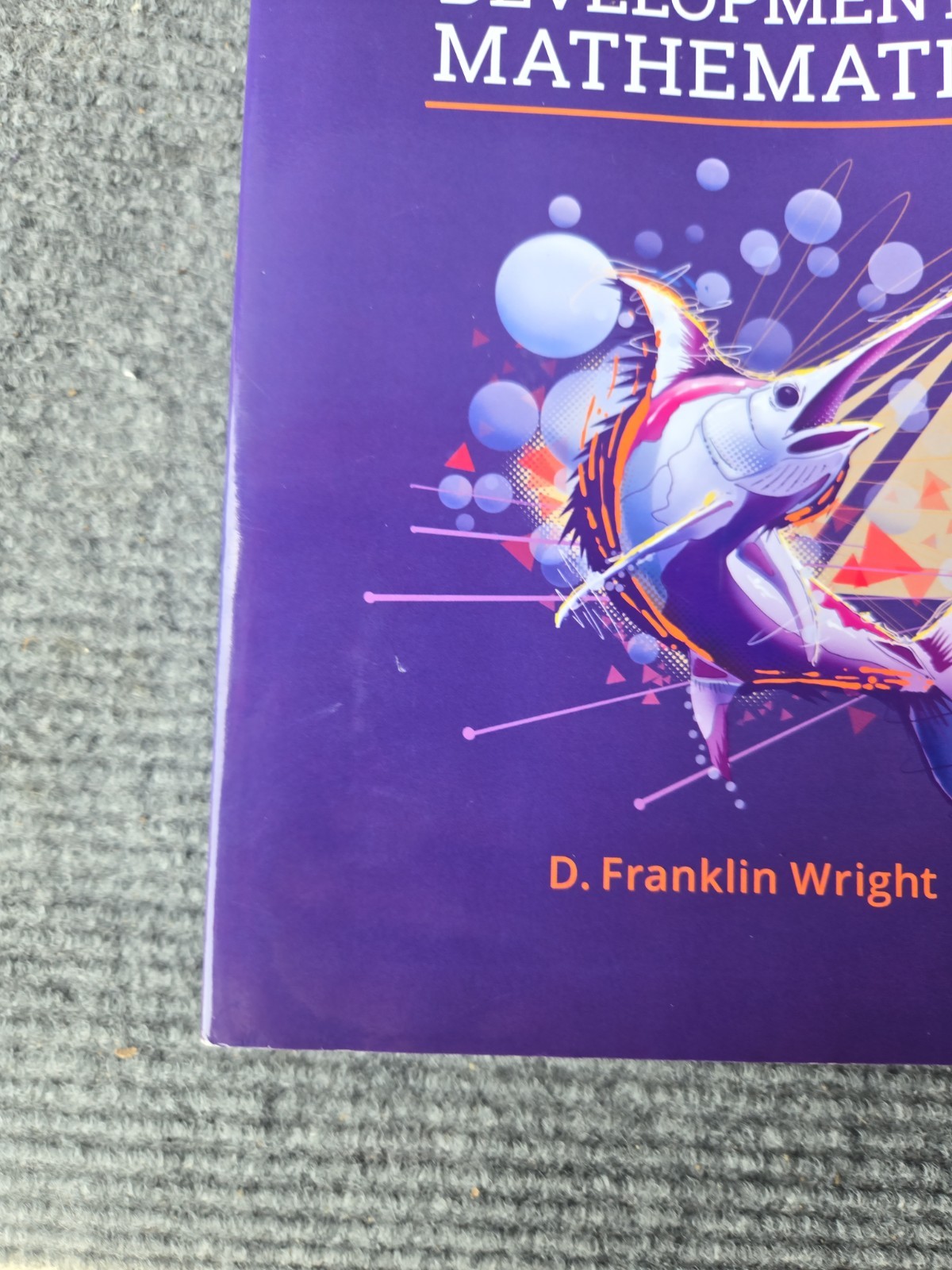 Developmental Mathematics 2e Textbook by Hawkes Learning (2017, Hardcover)