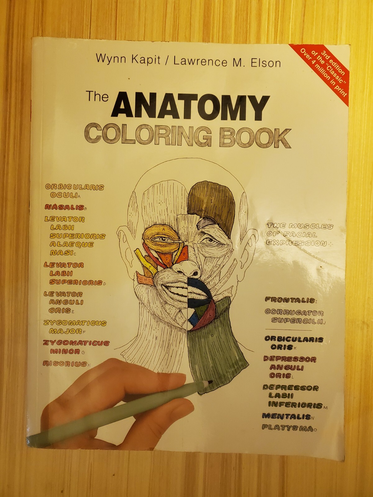 The Anatomy Coloring Book by Kapit, Wynn; Elson & hOMESCHOOLING High School