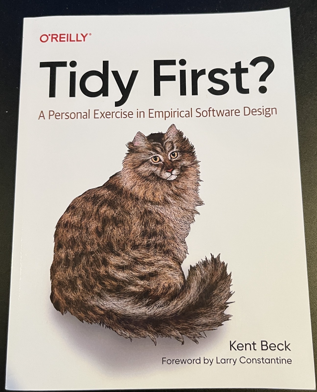 Tidy First? Kent Beck First Edition O&rsquo;Reilly Paperback 9781098151249 Like New